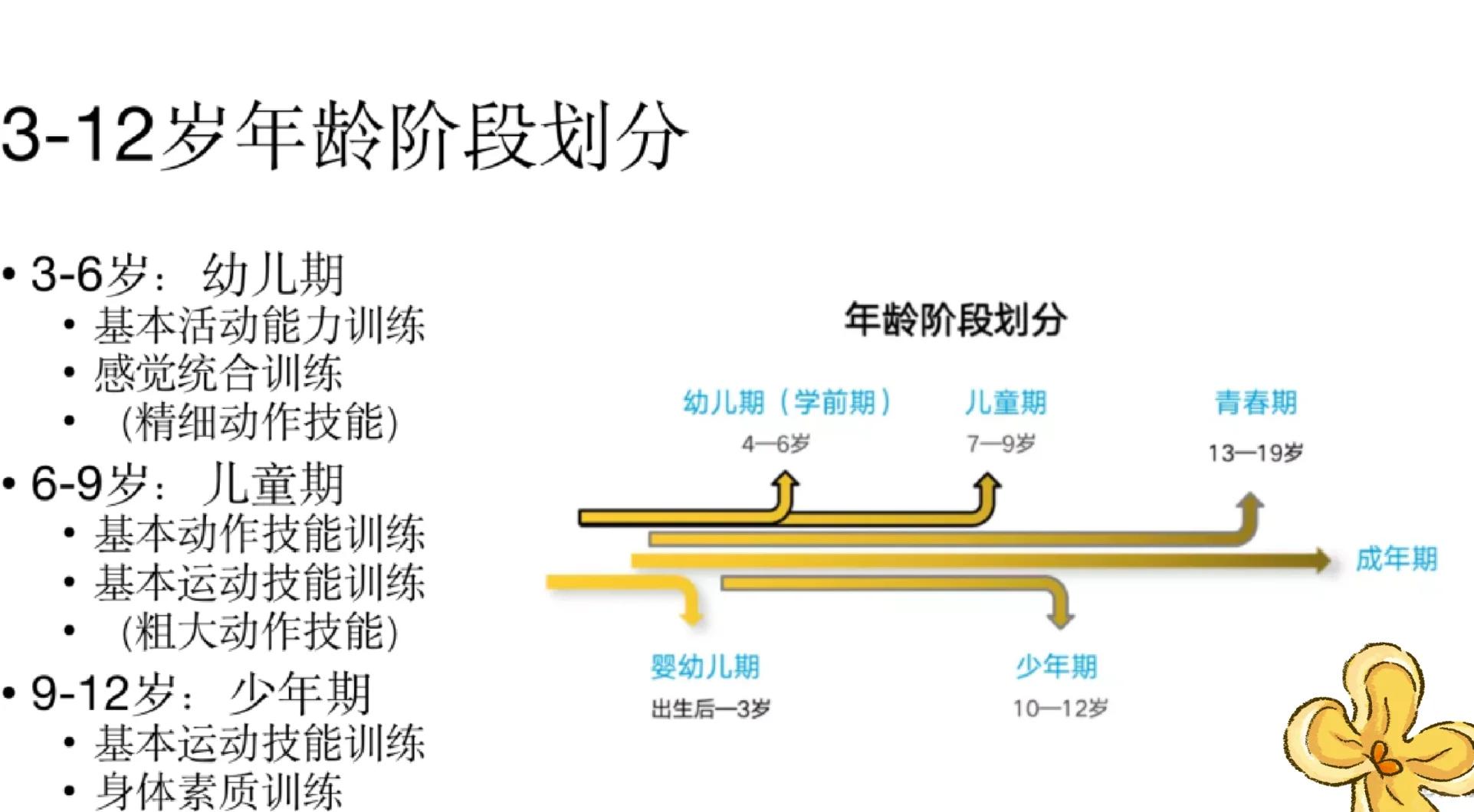 青少年体能训练的黄金期