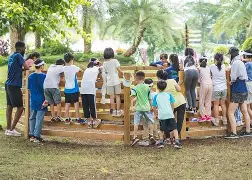 体育夏令营市场火爆，家长选择需注意这些的简单介绍