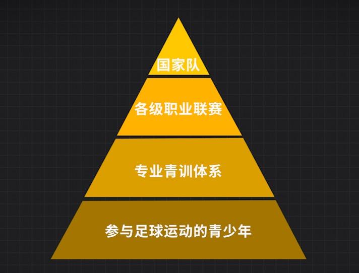 青训体系与国家队表现关系研究
